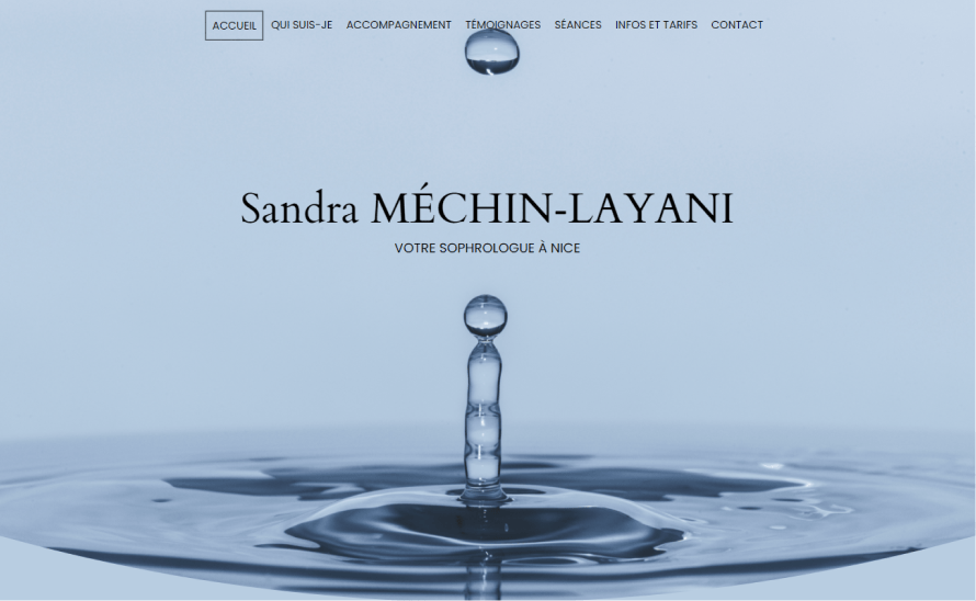 Page Endocrinologue Mechin Layani